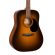 AD810 (Satin Sunburst), зображення 1
